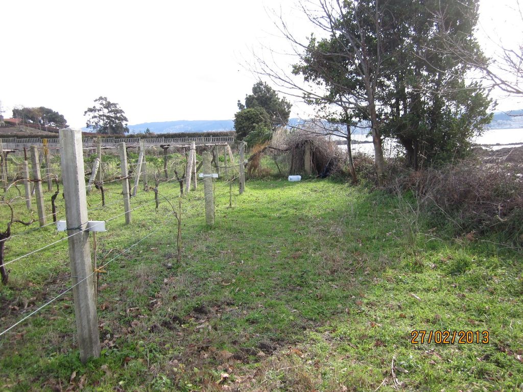 Acceso a la playa de los alemanes (T.M. de Cangas do Morrazo). Antes de las obras