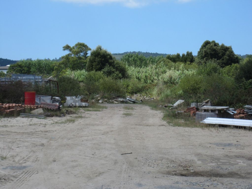 Regeneración ambiental de las marismas de A Xunqueira do Areal, Fase I. Antes