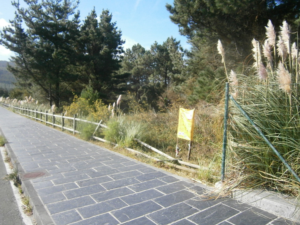Ferrol. Limpieza, corta y poda preventiva de vegetación (Antes de las obras)