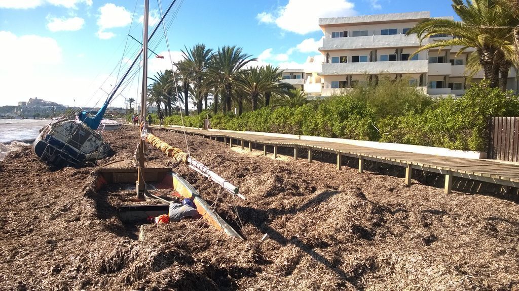 Reparación de pasarelas de madera en Ibiza (Antes de las obras)