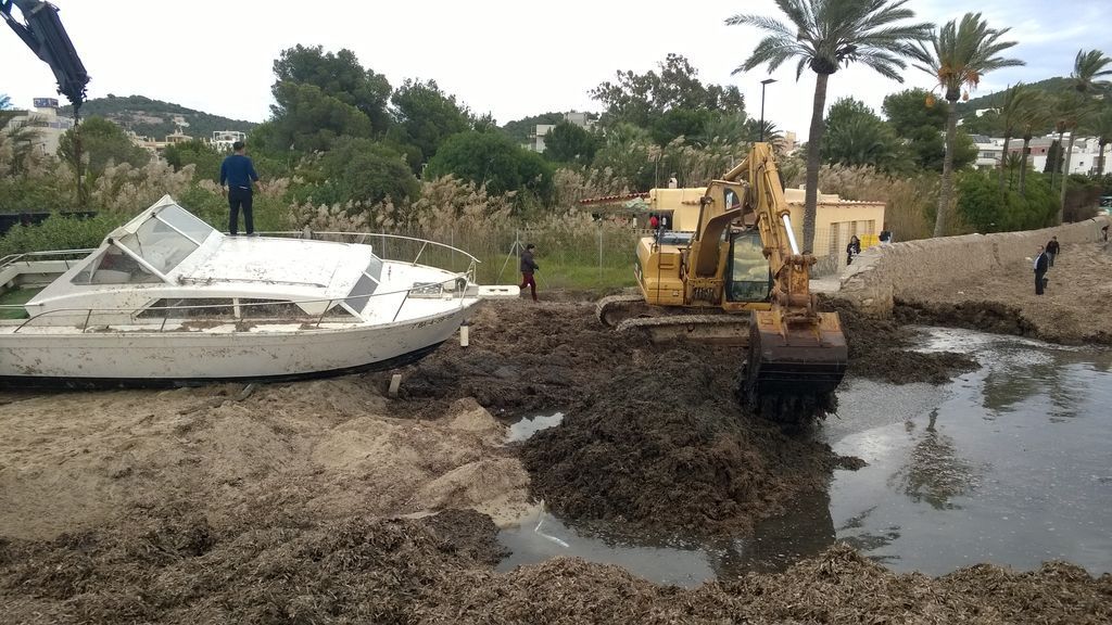 Reparación de pasarelas de madera en Ibiza (Antes de las obras)