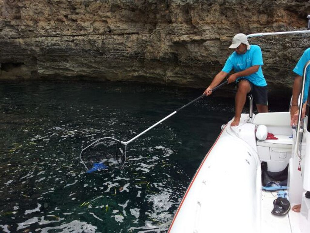 Limpieza en el mar de Ibiza y Formentera - (Durante las obras)