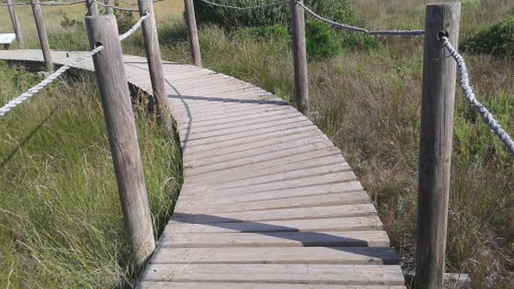 Reparación de pasarelas de madera en Menorca (Después de las obras)