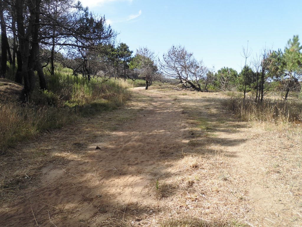 Playa de Río Sieira (próxima a Coviña). Instalación de pasarela de madera (Antes de las obras)