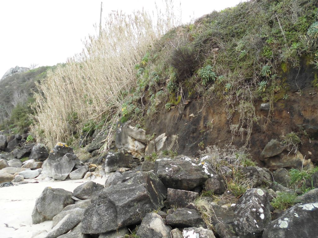 Protección del talud en la playa de Arnela (T.M. de Porto Do Son). Antes de las obras