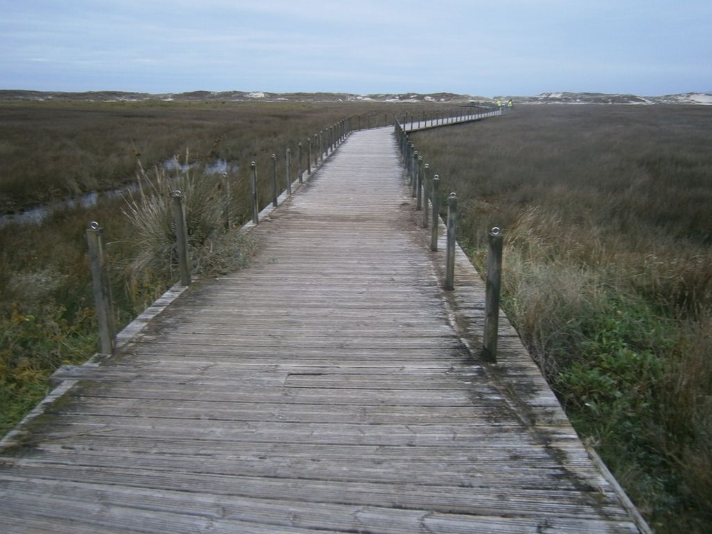 Mantenimiento y conservación V. Carnota. Playa de Carnota - Mejora de accesos (Durante las obras)