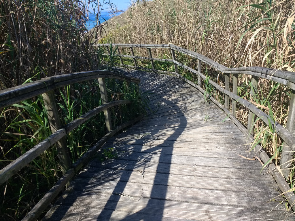 Mantenimiento y conservación V. Ferrol. Playa de Esmelle - Construcción de empalizadas de madera y mejora de accesos (Antes de las obras)