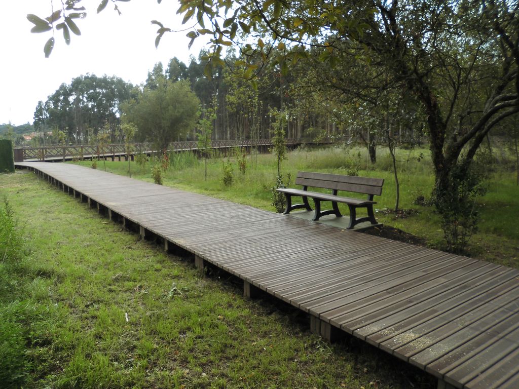 Regeneración ambiental de las marismas de A Xunqueira do Areal, Fase I. Después de las obras