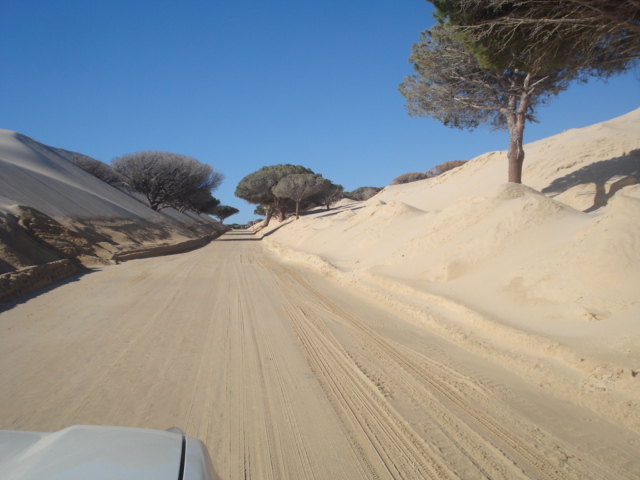 Duna de Valdevaqueros