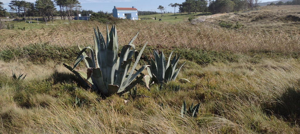 Antes de las obras