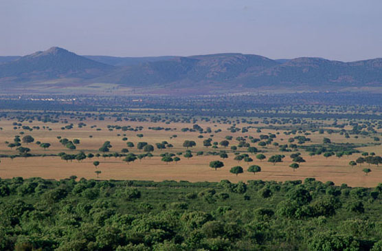 Parque Nacional de Cabañeros. Autor: V. García Canseco/Fototeca CENEAM