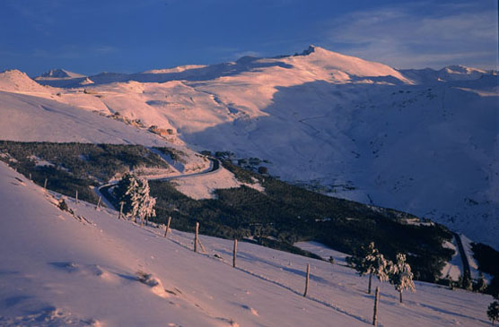 Parque Nacional de Sierra Nevada. Autor: G. Montañés Castillo/ Fototeca CENEAM