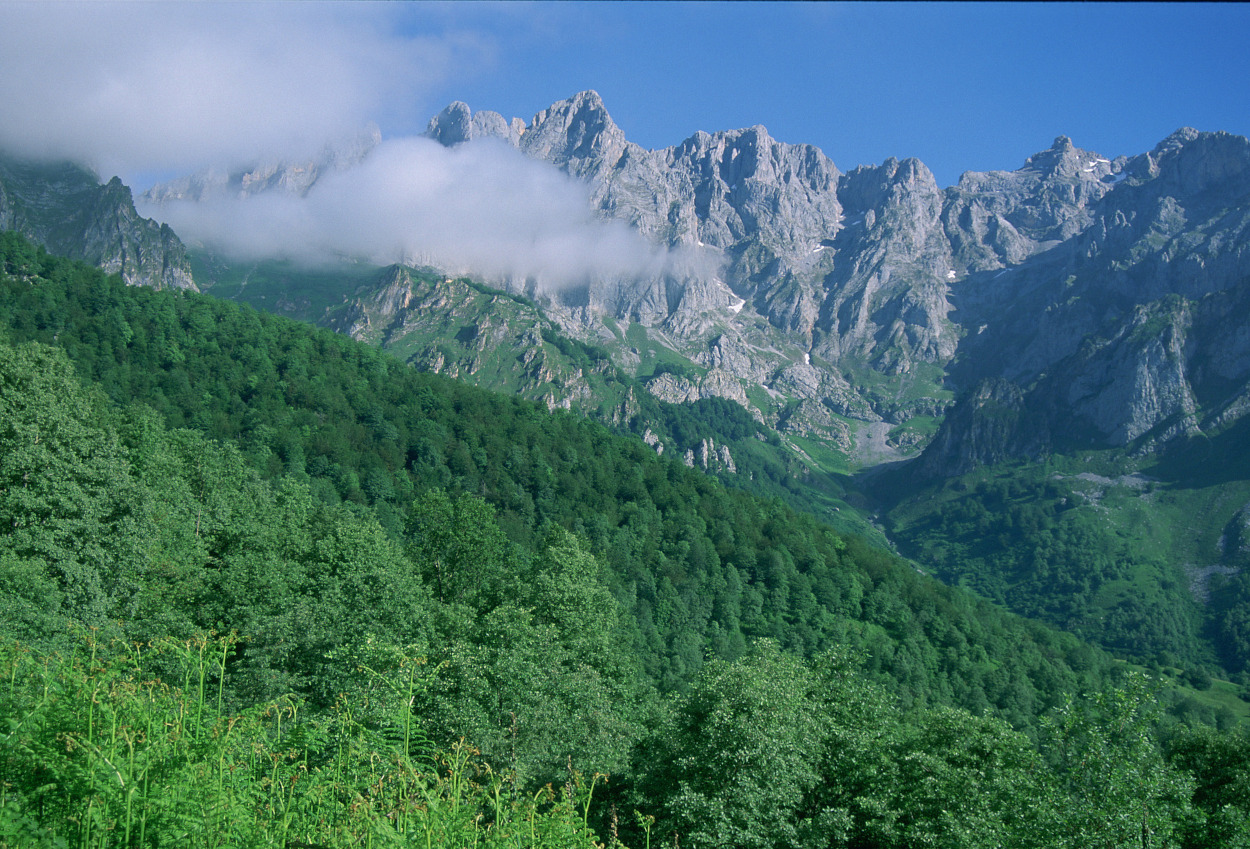 Parque Nacional de Picos de Europa. Autor: C. Valdecantos / Fototeca CENEAM