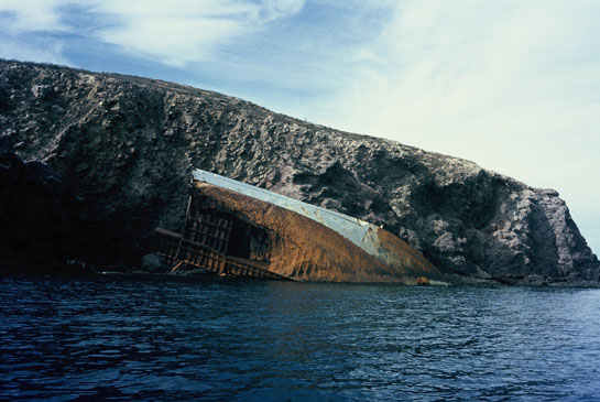 Este transecto discurre dentro del canal que separa las  islas del Congreso e Isabel II. En esta zona se encuentran los restos del mercante yugoslavo Dims que se hundió en 1982, tras golpear con la Laja. Restos de la proa del mercante yugoslavo Dims, que se podían observar, hasta hace unos años, en la cara noreste del Congreso.