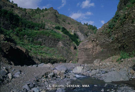 El Barranco de las Angustias, se caracteriza por sus paredes rocosas y escarpadas. Desempeña un importante papel en la formación de suelos y en la captación de agua.