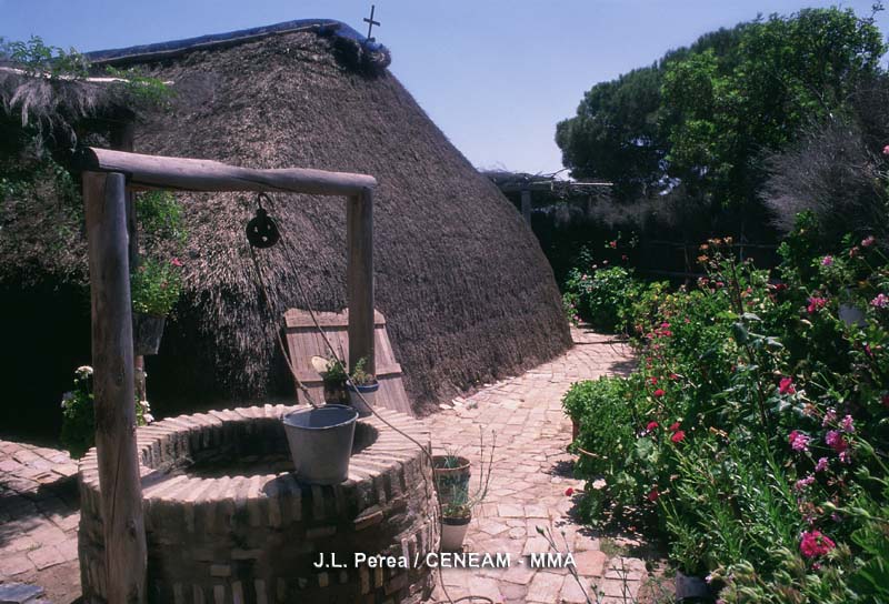 Choza marismeña: la estructura era de sabina o de pino y los techos de bayunco o castañuela.