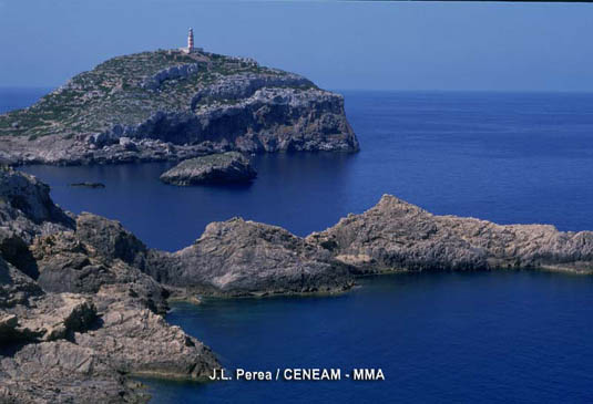 Las rocas predominantes en el Archipiélago de Cabrera son las calizas de origen marino.