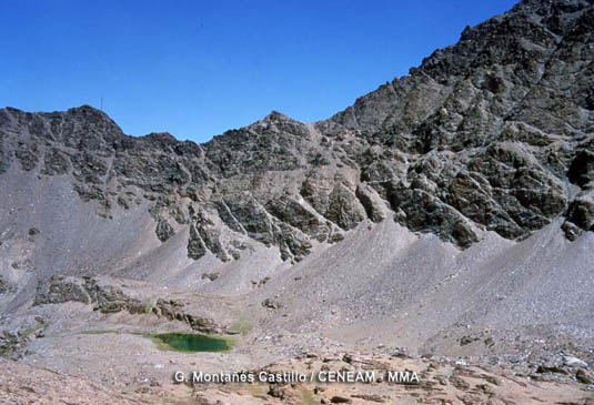 La acción erosiva del hielo produce en muchos lugares del parque, grandes acúmulos de rocas disgregadas, conocidos como, derrubios y canchales.