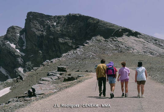 El senderismo es uno de los deportes más practicados en Sierra Nevada. El Parque cuenta con una amplia red de senderos para recorrer todos los rincones de estas montañas.