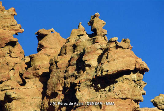 El Capricho es un roque de curiosas formas producto de la erosión.