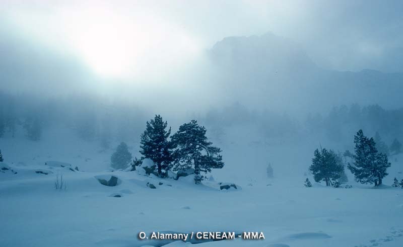 La grandes nevadas y la niebla son dos fenómenos meteorológicos frecuentes en el esta zona.