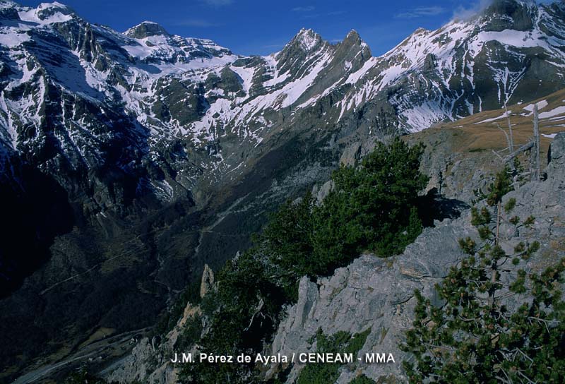 El Valle de Pineta, es un claro ejemplo de valle de origen galciar con el clasico perfil en forma de "U". Actualmente por el discurre el río Cinca.