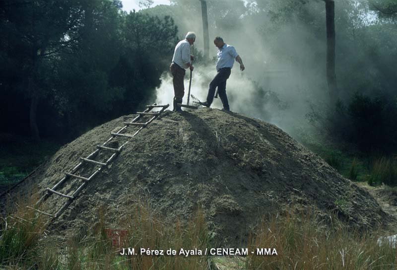 Hace años que no se produce carbón vegetal en los boliches (carboneras) del entorno del Parque Nacional.