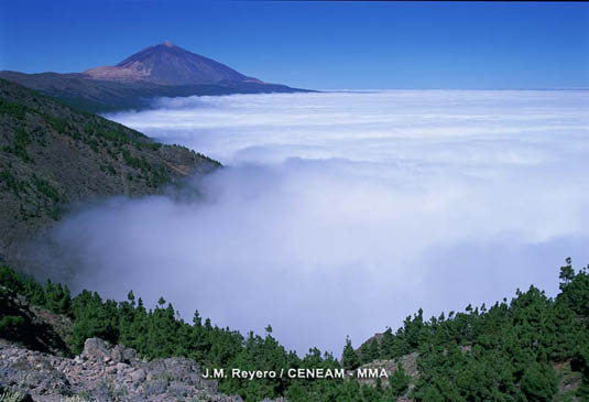 Los mares de nubes son frecuentes en la costa norte de Tenerife. Las nubes son llevadas hasta allí por los vientos alisios.
