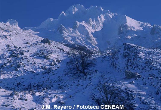 La Torre de Santa María de Enol, con 2.486 metros de altura es uno de los picos más altos del parque nacional.