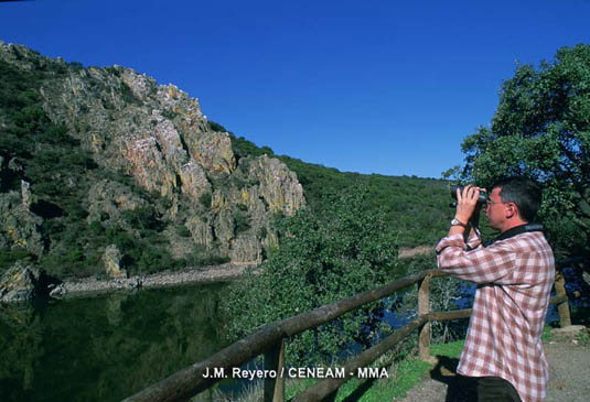 Con un poco de paciencia y suerte, podemos llegar a observar muchas de las aves de este enclave natural.