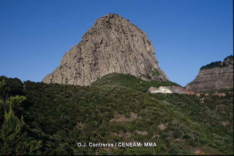 Uno de los roques más espectaculares de Garajonay es el Roque Agando.