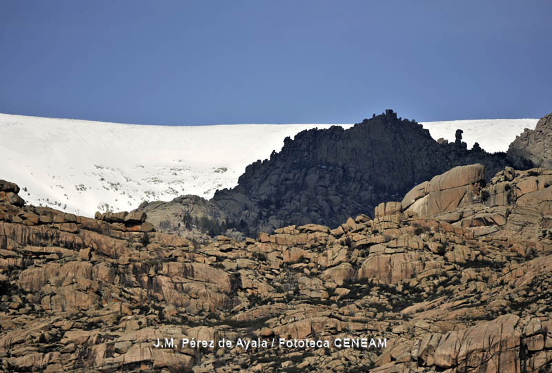 Panorámica de la Pedriza con la cuerda larga nevada detrás.