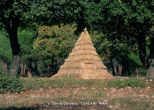 Las cabañas eran construcciones temporales, que han dado el nombre al parque. En ellas vivian los antiguos pobladores que se dedicaban fundamentalmente al carboneo y el pastoreo.