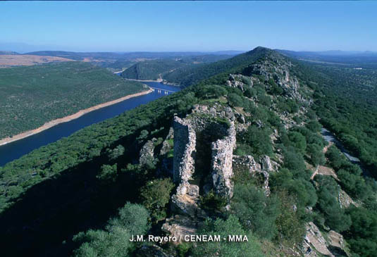 El castillo ha sido utilizado por los diferentes pueblos que han pasado por esta zona por su privilegiada posición. Se lenvanta sobre un escarpado monte sobre el río Tajo.    
