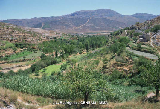 En los valles se conserva un modelo de agricultura procedente de la época de los moriscos.