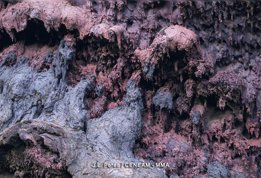 Los estafilitos son estructuras de lava solidificada que recuerdan a las estalactitas de las cuevas.