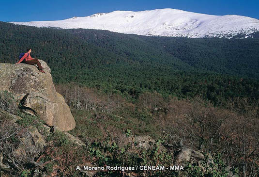 Con 2.428 metros, Peñalara es la montaña mas alta de la Sierra de Guadarrama. Aquí normalmente, podemos encontrar nieve hasta principios del mes de junio.