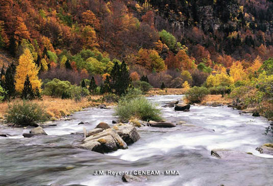 El río que recorre el valle de Ordesa es el río Arazas, que desemboca en el Ara y éste a su vez en el Cinca.