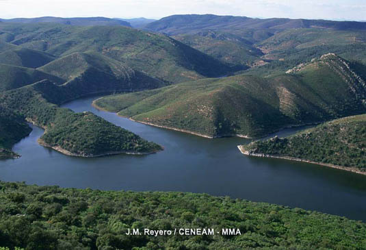 Uno de los enclaves más bellos del Parque Nacional, visible desde lo alto del Castillo, es la confluencia de los arroyos Barbaón y Malvecino en el río Tajo.