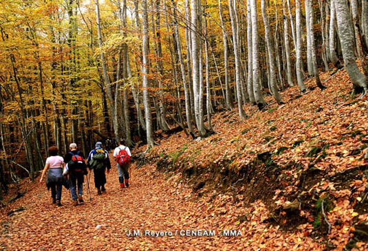 Ordesa y Monte Perdido recibe cada año miles de personas dispuestas a andar y recorrer las sendas, sobre todo en verano y en otoño.