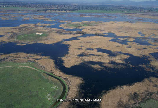 Las Tablas de Daimiel se forman en la llanura de inundación que generan los ríos Guadiana y Cigüela en su confluencia.