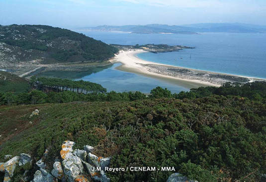 La playa de Rodas es la mejor de las Islas Cíes, está situada entre la islas de Monte Agudo y la isla de Faro.