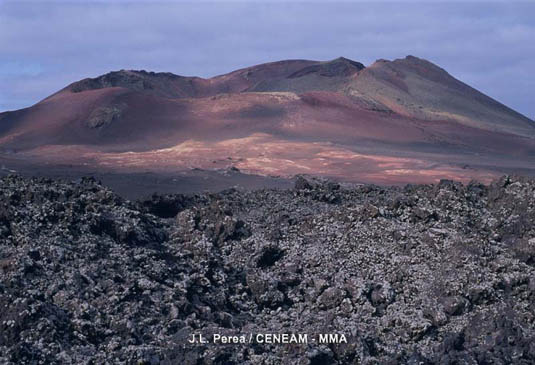 Las erupciones volcánicas del siglo XVIII, cambiaron por completo el aspecto de la parte central de Lanzarote.
