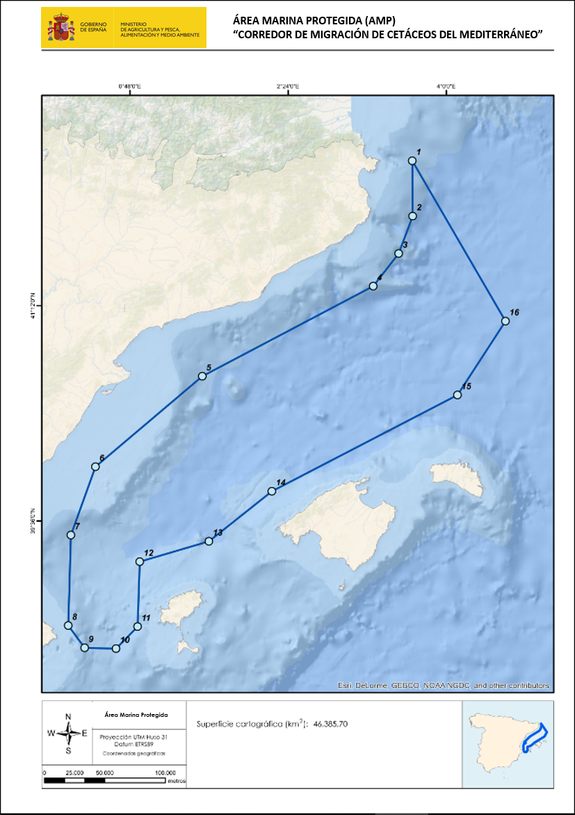 Corredor de Cetáceos MAPA