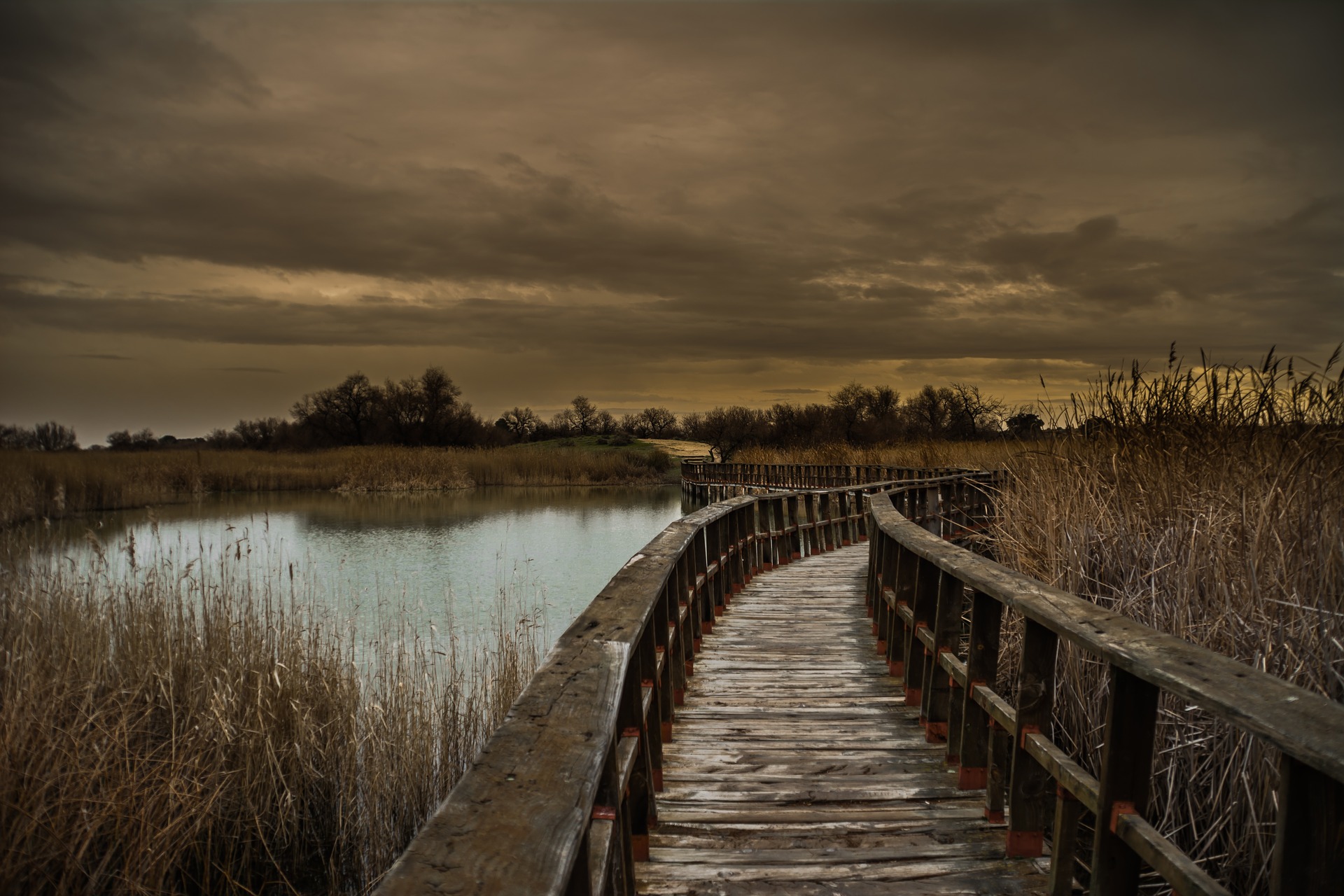 Daimiel