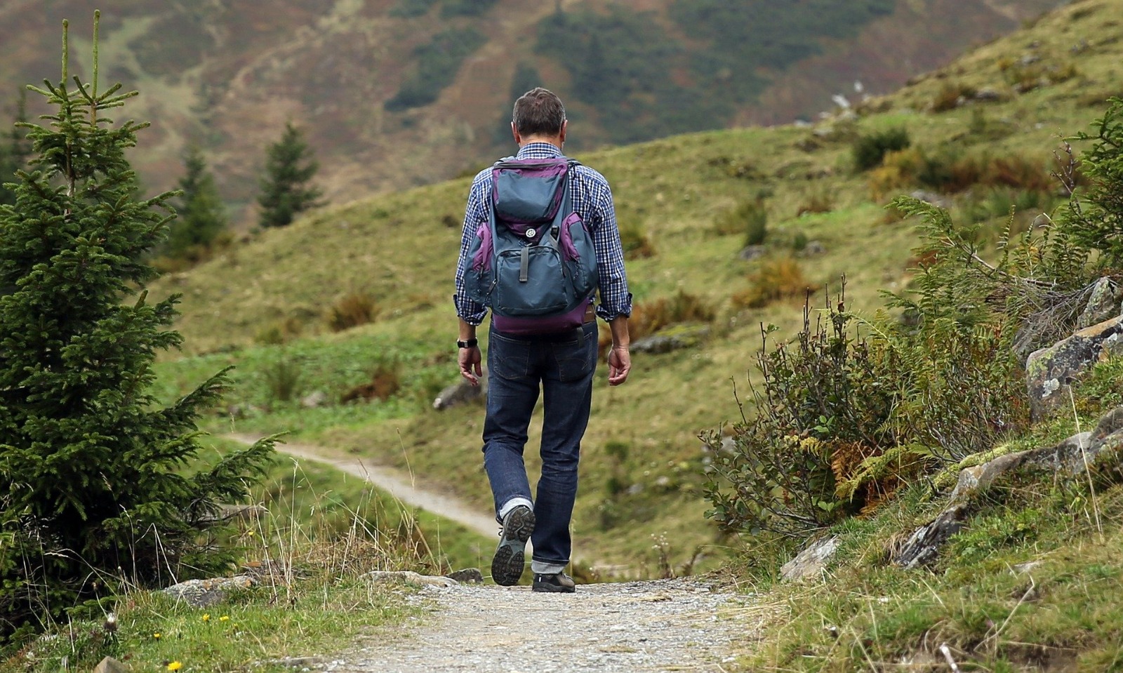 Paseos por la naturaleza