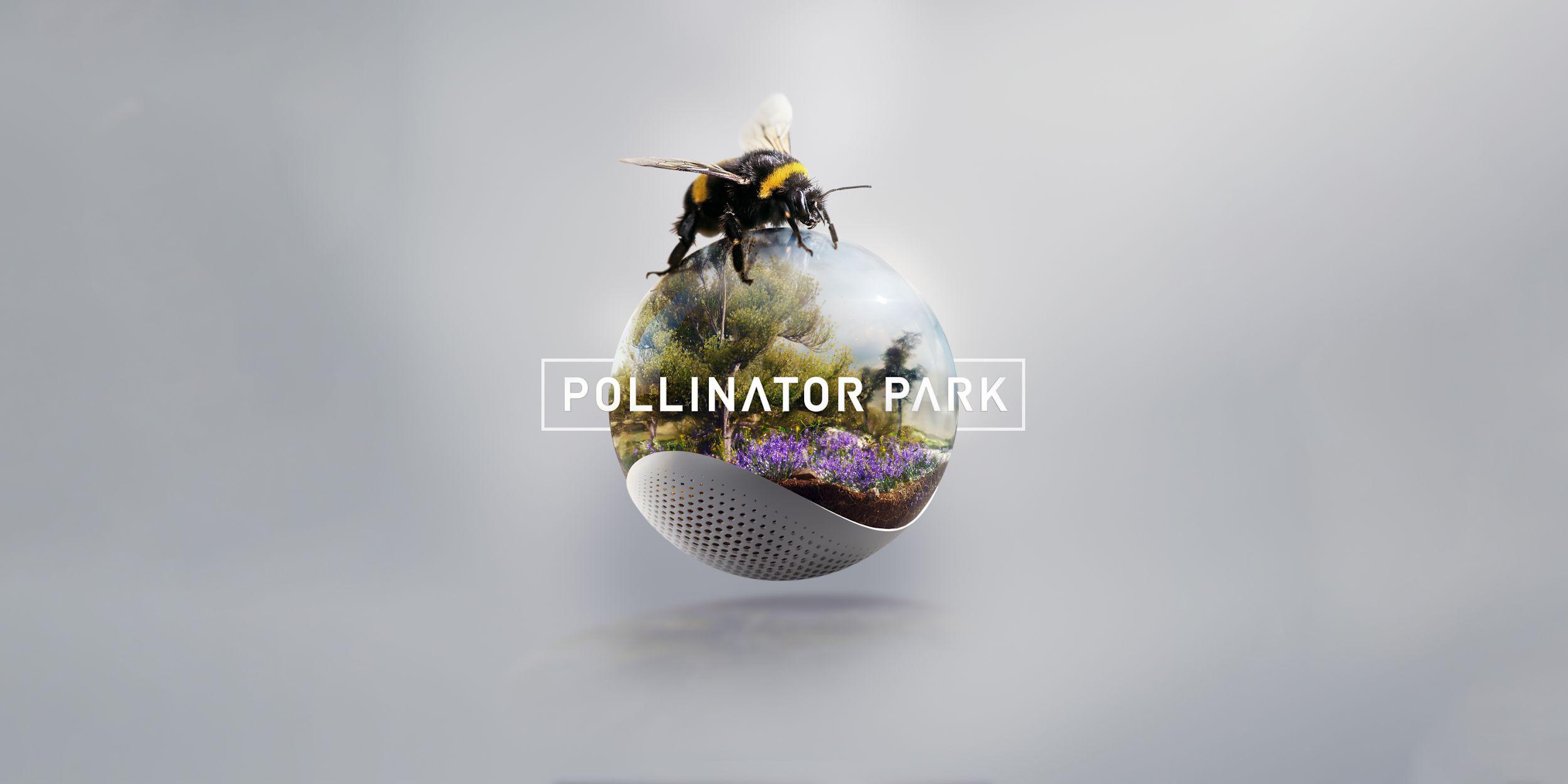  Dia Mundial de las Abejas Pollinator Park