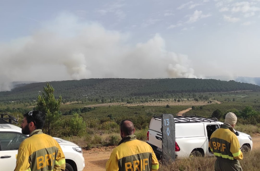 Incendios Zamora, Navarra y Cataluña