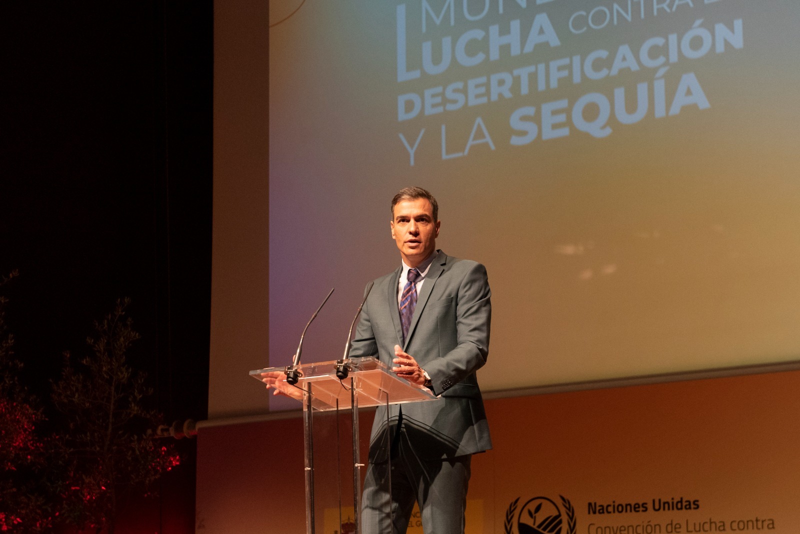 Día Mundial Desertificación 1