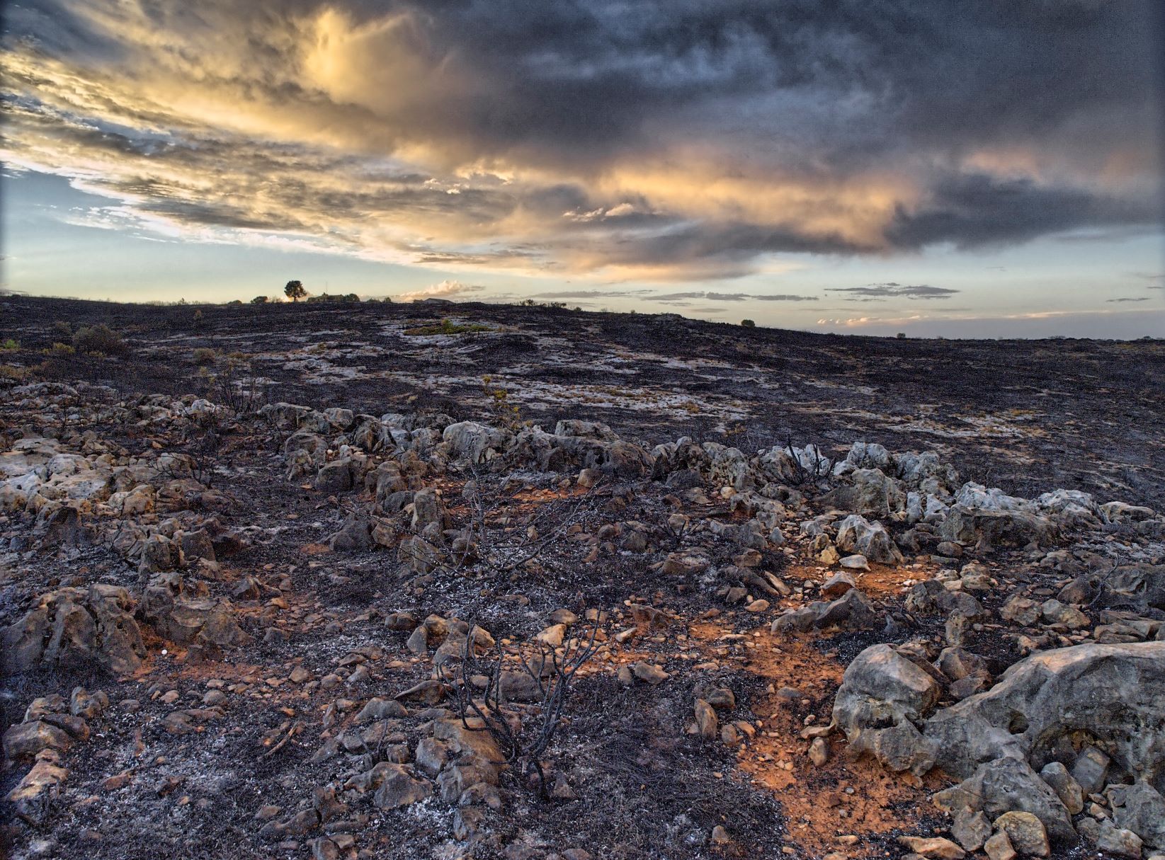 Estategia contra la Desertificación - Suelo de una montaña quemada